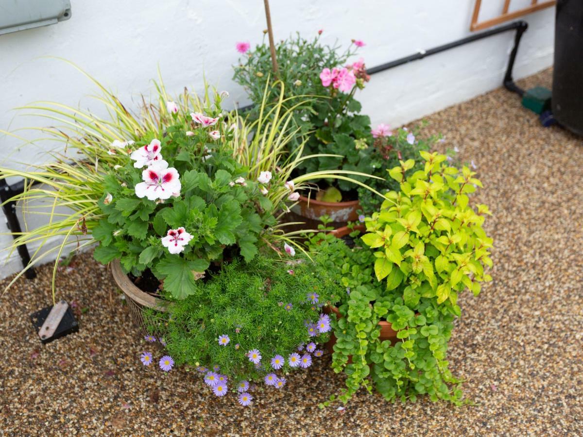 Little England Cottage Milborne Saint Andrew Екстериор снимка