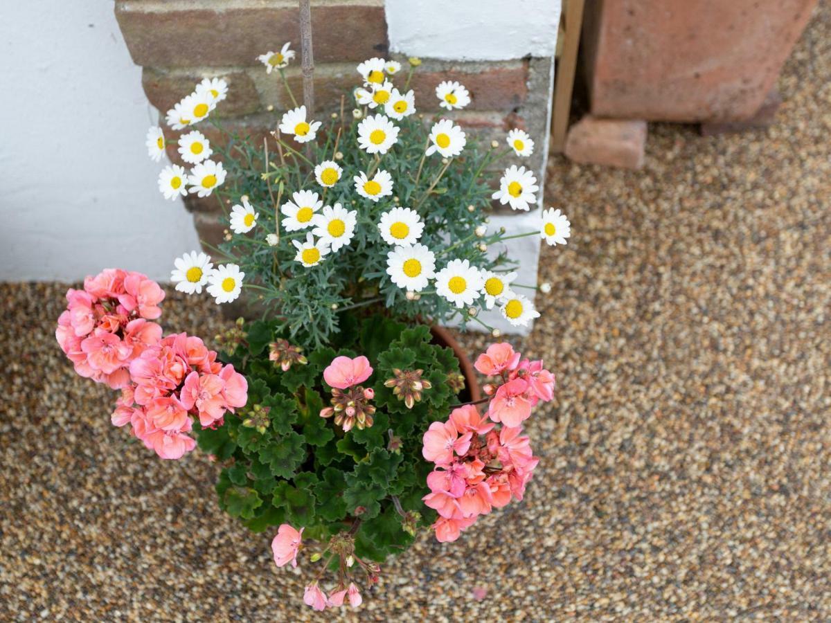 Little England Cottage Milborne Saint Andrew Екстериор снимка